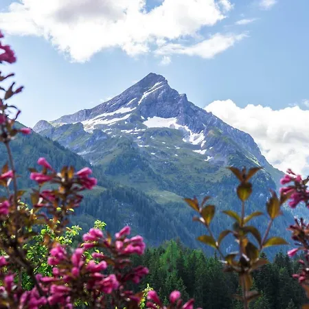 Alpengruss Guest house Gerlos