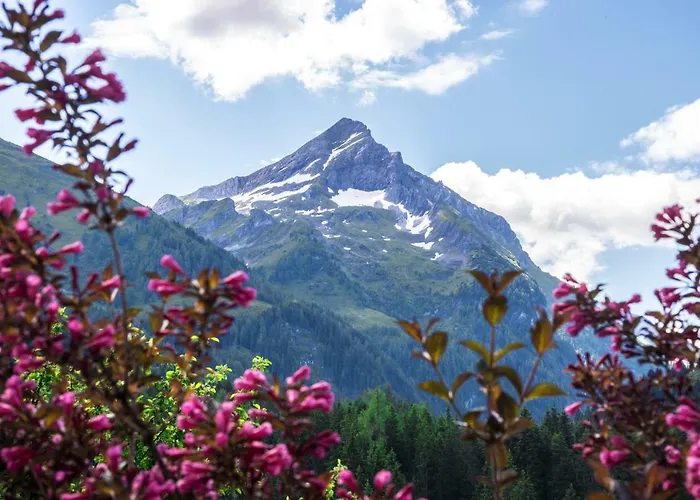 Alpengruss Guest house Gerlos